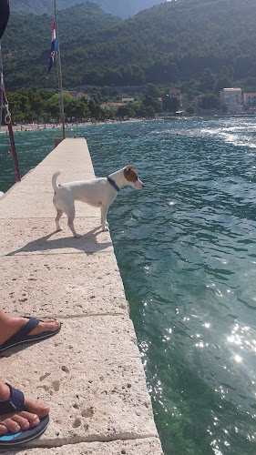 Comentarii opinii despre Konoba Bukara