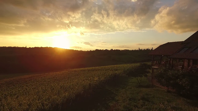 Opinii despre Restoran Terbotz în Štrigova - Gastronomija i ugostiteljstvo