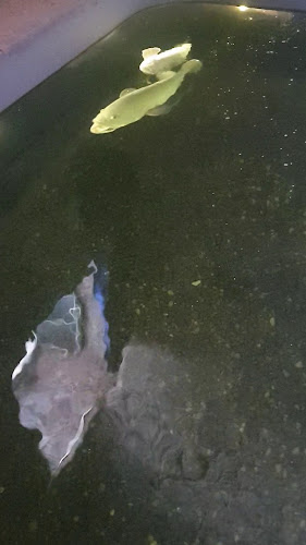 Ul. kneza Damjana Jude 4, 20000, Dubrovnik