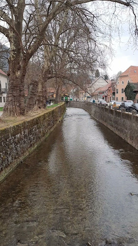 Samoborska pivnica - Restaurant 'Salvator'