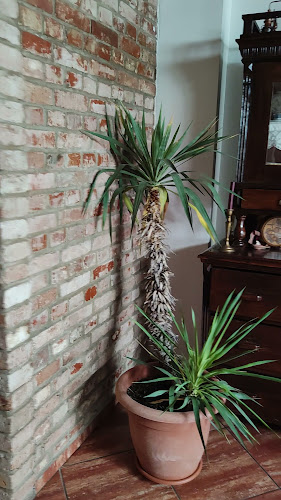 Restoran Dukat - Gastronomija i ugostiteljstvo