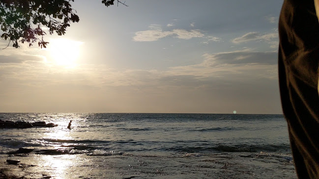 Comentarii opinii despre Shark restaurant and bar