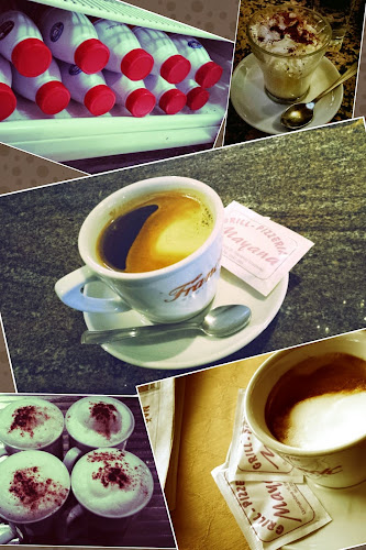 Grill Pizzeria Mayana - Gastronomija i ugostiteljstvo