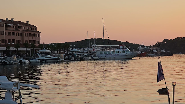 Restaurant Dvi Palme