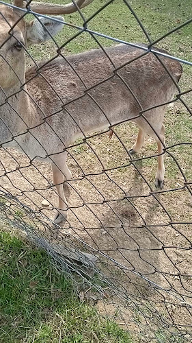 Taborgradska ul. 35, 49216, Desinić