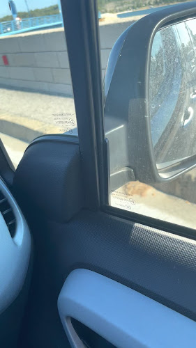 Comentarii opinii despre Angelo