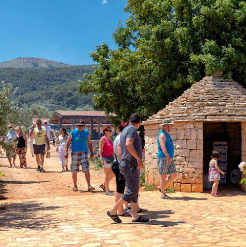 Starigradsko polje, 21460, Stari Grad