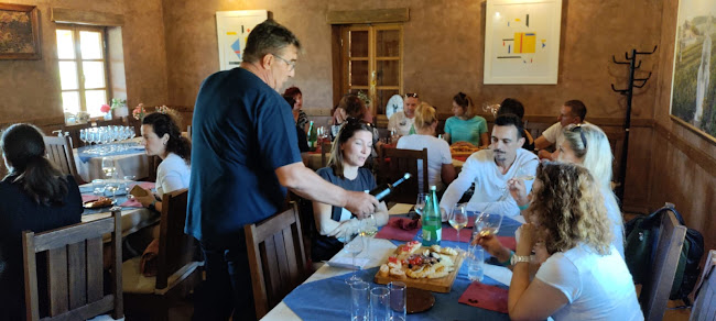 Comentarii opinii despre Vizzulin - Vinotočje