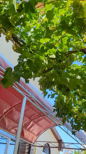 Opinii despre Stari Ribar în Ližnjan - Gastronomija i ugostiteljstvo