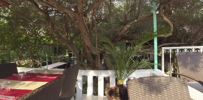 Comentarii opinii despre Faria - Garden & terrace / Restaurant & Pizza