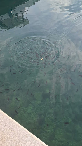 Porat 16, 51511, Porat