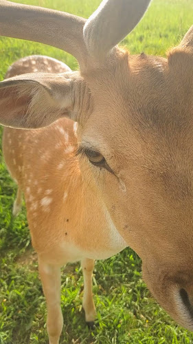 MAJSECOV MLIN - Gastronomija i ugostiteljstvo