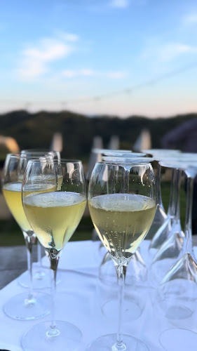 Comentarii opinii despre Restoran, vinarija i pansion Vuglec Breg