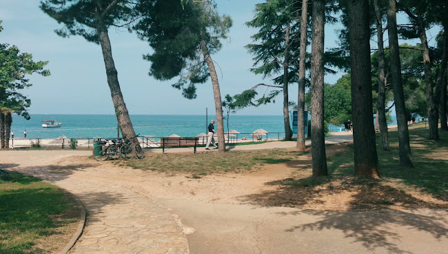 Beach Bar Jedro - Gastronomija i ugostiteljstvo