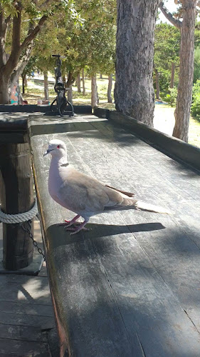 Beach Bar Bamboocho - Lopar