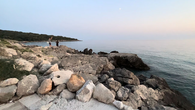 Bravarica - Potočnica