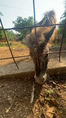 Restoran Anita - Zaton Obrovački