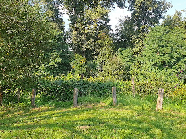 Gornjevinska klet - Križevci