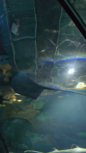 Comentarii opinii despre Theatrium by Filho