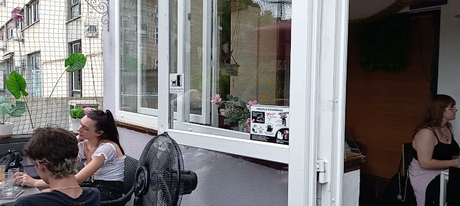 Opinii despre Cat Caffe Zagreb în Zagreb - Gastronomija i ugostiteljstvo