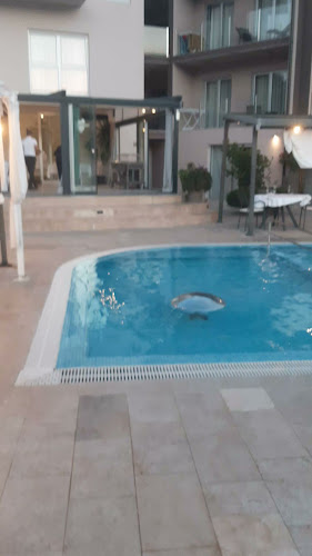 Restaurant Premantura Resort - Premantura