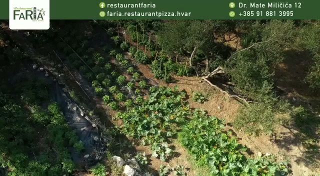 Opinii despre Faria - Garden & terrace / Restaurant & Pizza în Hvar - Gastronomija i ugostiteljstvo