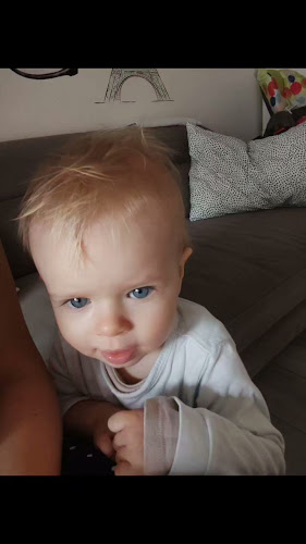 Caffe Bar Tref - Gastronomija i ugostiteljstvo