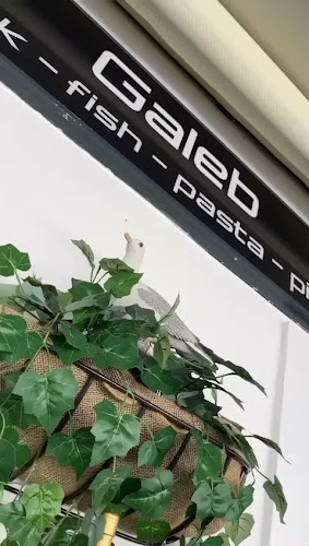 Opinii despre Restaurant Galeb în Mali Lošinj - Gastronomija i ugostiteljstvo