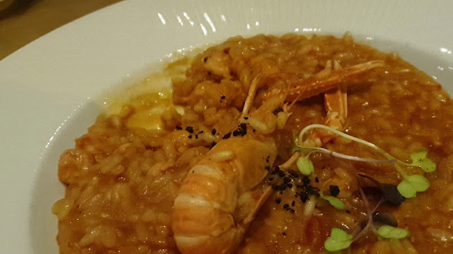 Restaurant Roko - Zadar