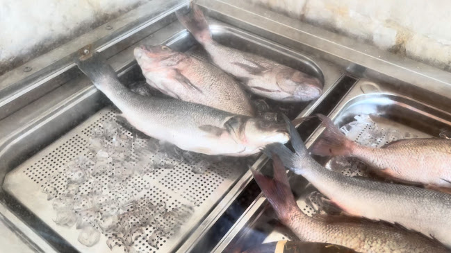 Comentarii opinii despre Prora Restaurant