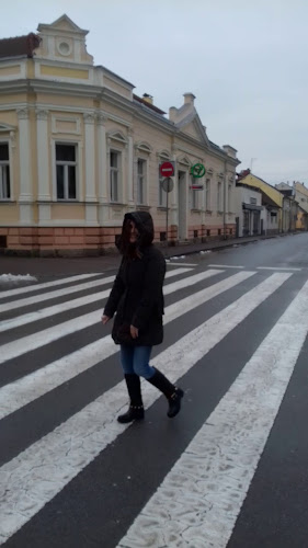 Opinii despre Oka Bar&Pub în Bjelovar - Gastronomija i ugostiteljstvo