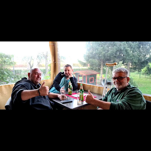 Comentarii opinii despre Bistro Nino