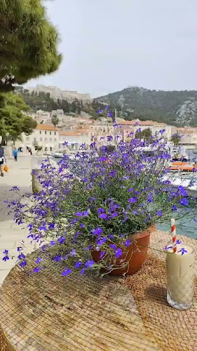 Comentarii opinii despre Dva ribara