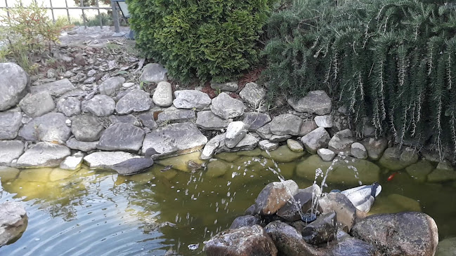 Kozari 16, 52420, Buzet