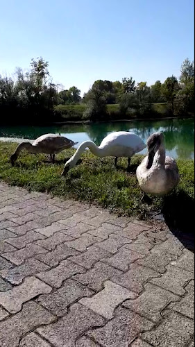 Paooro Cocktail Bar - Gastronomija i ugostiteljstvo