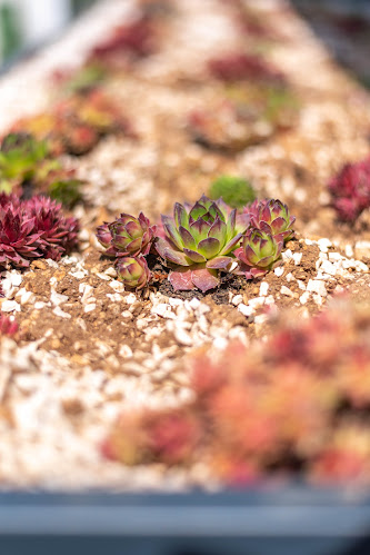 Caffe Bar Bok Trogir - Trogir