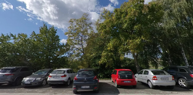 Restoran Črn-Bel - Gastronomija i ugostiteljstvo