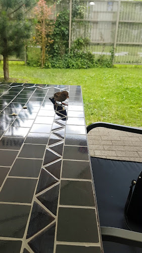 Isto Duksa - Bundek - Gastronomija i ugostiteljstvo