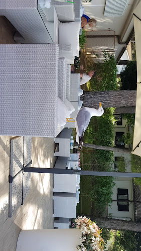 Kafić Blue Centar - Gastronomija i ugostiteljstvo