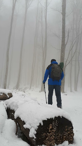 Opinii despre Planinarski dom Grafičar / Malo Sljeme d.o.o. în Zagreb - Gastronomija i ugostiteljstvo