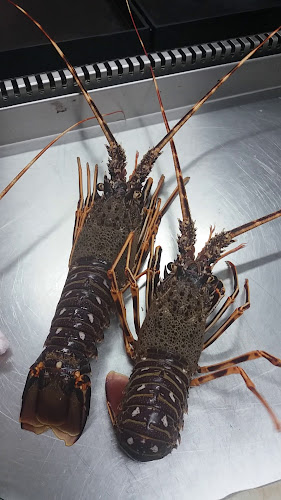 Restaurant Bago - Gastronomija i ugostiteljstvo