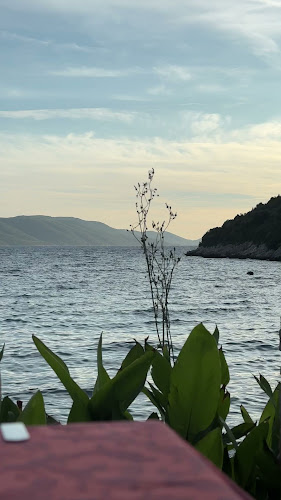 Comentarii opinii despre Restaurant Estravaganca (rooms and restaurant)