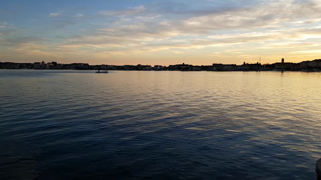 Zlatna ribica - Brodarica