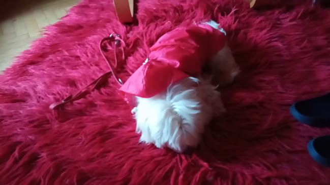 Benzinska postaja Crodux - Bistro - Gastronomija i ugostiteljstvo