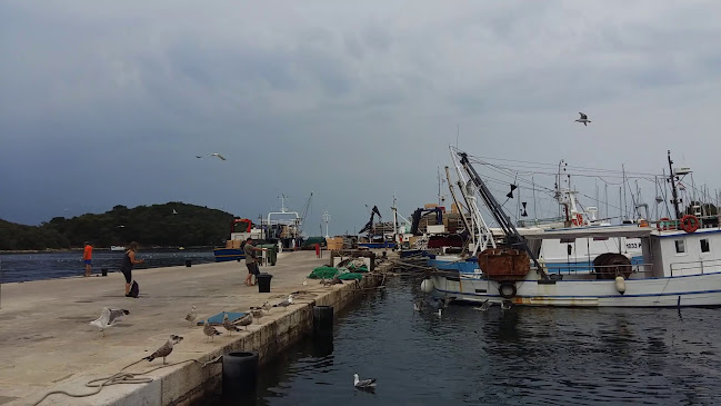 Opinii despre Al Porto în Vrsar - Gastronomija i ugostiteljstvo