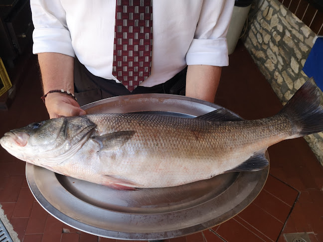 Opinii despre Santa Marina în Vabriga - Gastronomija i ugostiteljstvo