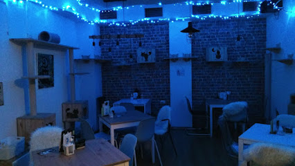 Cat Caffe Zagreb