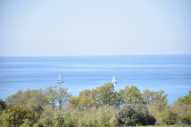 Fortuna Restaurant & APP - Gastronomija i ugostiteljstvo