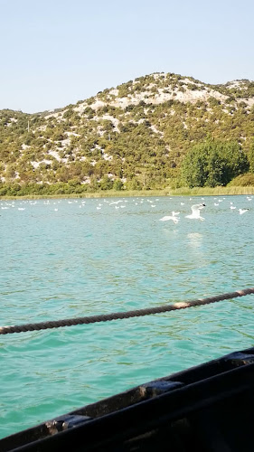 Comentarii opinii despre Beach Bar Capitano