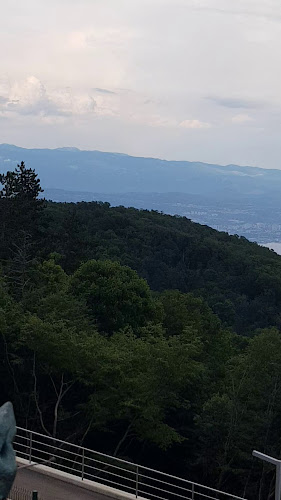 RESTAURANT PANSION UČKA - (Jela od mesa divljači / local food)